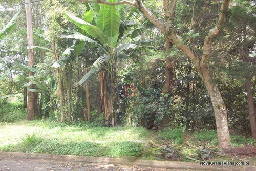 Imagem 1 de 9 de Terreno Residencial À Venda, Palos Verdes, Carapicuíba - Te0371. - Te0371