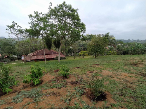 Imagem 23 de 25 de Chácara À Venda, Anchieta, Anchieta, Es - Es - Ch0005_supp
