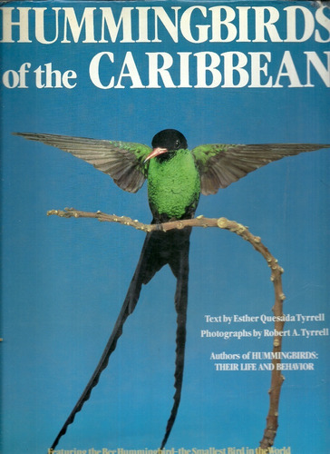 Hummingbirds Of The Caribbean. Esther Tyrrell-robert Tyrrell