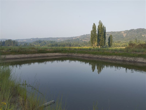 Agrícola En Venta En Curicó