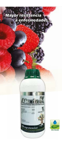 Alexin K (12unidades De 1l) Oferta Limitada