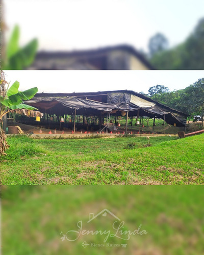 Imagen 13 de 14 de Se Vende Finca De 6,6 Has En Bejuma Carabobo