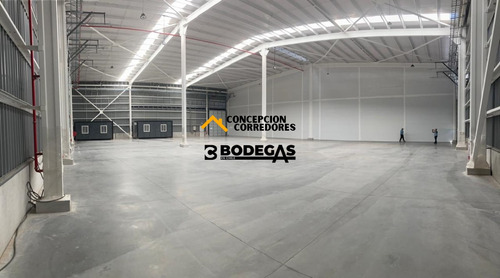 Arriendo Bodega De 1.200 M2 En P. Industrial Enea, Pudahuel.