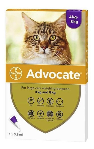 Advocate Antiparasitario Gato Entre 4-8 Kg/ Catdogshop
