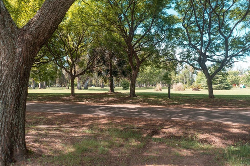 Imagen 6 de 14 de Terreno - Funes