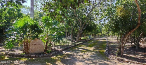 Imagen 2 de 18 de Terreno En Venta En Santa Clara Yucatan Mt 23-2497