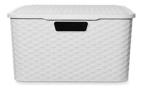 Imagen 5 de 10 de Caja Organizadora Simil Rattan Grande Xl Pack X 4 Premium