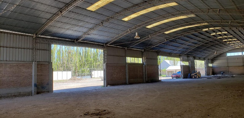 Imagen 10 de 30 de Alquilo Predio 6500 M2 Galpón 1900 M2 300 M2 Oficin Neuquen