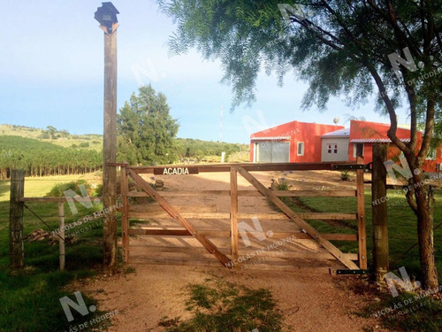 Imagen 19 de 26 de Casa De Campo Para Vivir Todo El Año O Disfrutar. - Garzón Pueblo Garzón