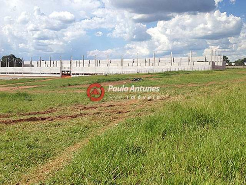 Imagem 4 de 6 de Terreno - R$ 14.000.000,00 - Código: 5660 - V5660