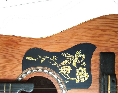 Golpeador Para Guitarra Acústica Pickguard Golden Bird