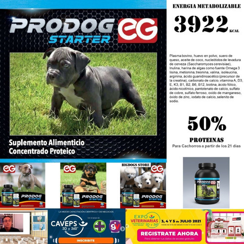 Prodog Starter Concentrado Proteico By Bigdogs