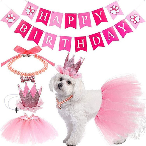 Disfraz Cumpleaños Feliz Perrito Incluye Accesorios 