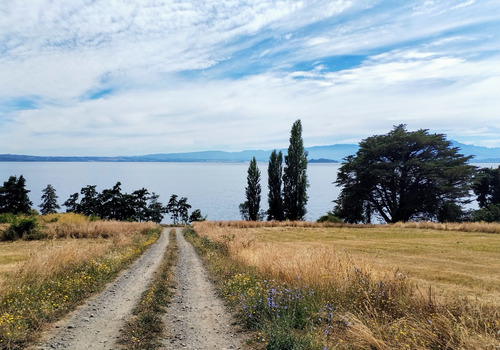 Parcela Con Excelentes Vistas Y A Metros Del Lago Ranco