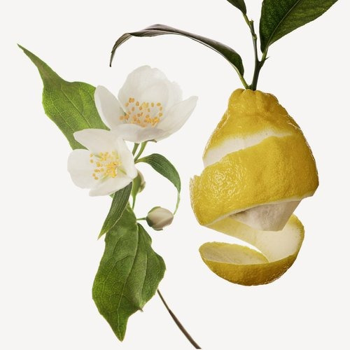 Hedione Aceite Jazmin Aroma Quimico Aromaterapia Perfume