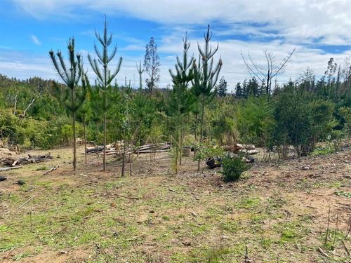 Casa Amoblada En Venta, La Polcura, Matanzas/puertecillo