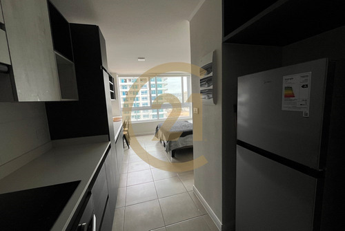 Arriendo Departamento Estudio En La Serena