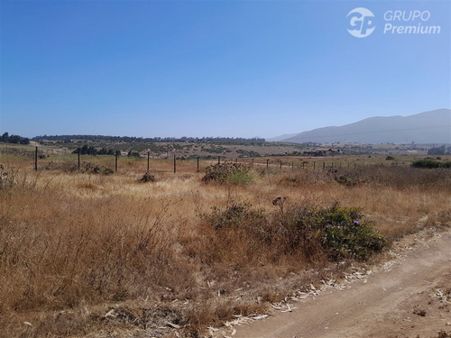 Agrícola En Venta En Quintero
