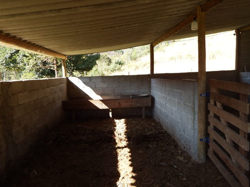Imagem 11 de 16 de Sítio À Venda Com Pasto Lago Piscina 56.000 Ótima Localização