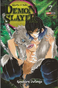 Libro Demon Slayer Vol 07