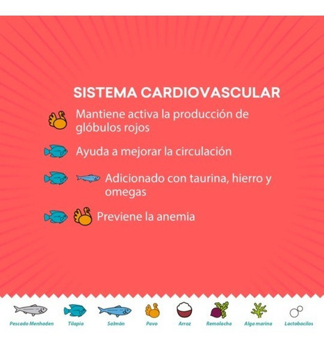 Alim. Premium Kisha 12 Kg Gato Adulto Receta Sabores Del Mar