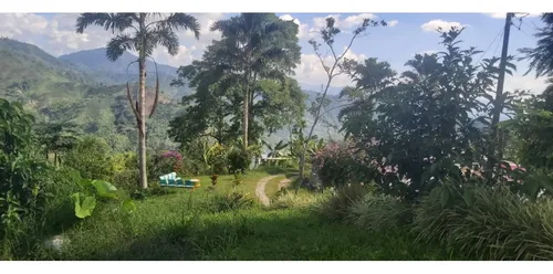 Se Vende Finca En Cordoba - Quindío