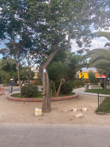Avenida Maraton Con Carlos Dittborn (91789)