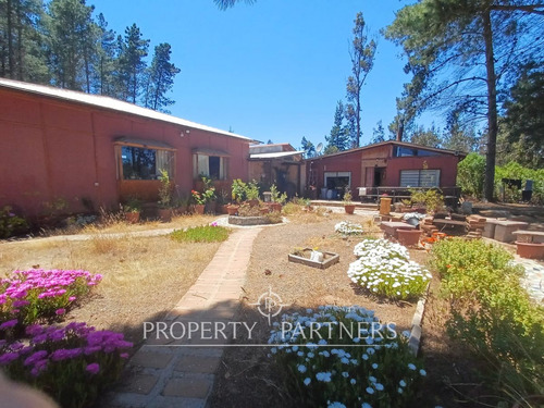 Algarrobo, Bosque De Algarrobo Parcela 100% Plana