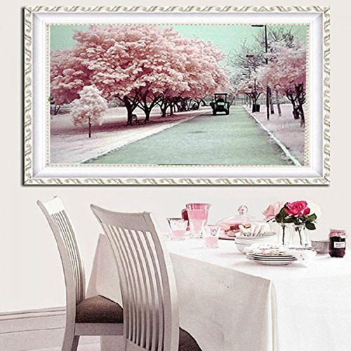 Pintura Por Diamantes Kit Completo 40x70cm -76w61c5n