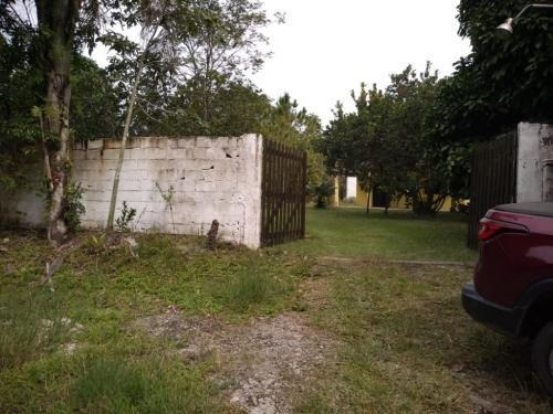 Imagem 5 de 14 de Chácara Com Suíte E Árvores Frutíferas Em Itanhaém Litoral