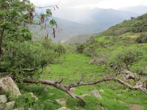 Finca En Venta (soatá - Boyacá)