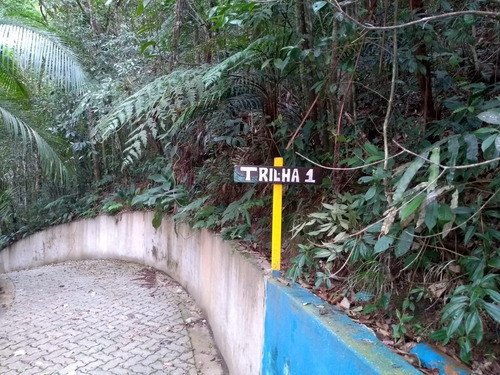 Imagem 24 de 30 de Sítio Alto Padrão Com Linda Vista Panorâmica - 64 - 33682306