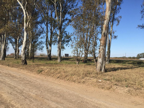 Imagen 12 de 14 de Depósito-predio - Malvinas Argentinas, Ruta 19, Córdoba