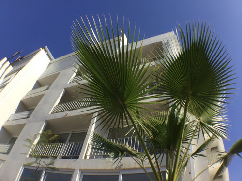 Moderno Departamento-estudio Para Estudiante En Recoleta