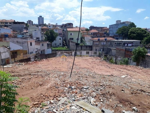 Imagem 2 de 8 de Terreno Para Venda No Bairro Vila Marieta, - 3297