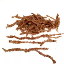 Comprar Musgo Sphagnum Hebras 60 Dm3 Litros Premium Orquideas Gajos