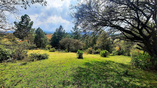 Hermoso Rancho De 10 Hectáreas Con Casa