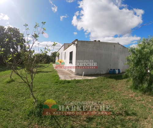 Chacra 4 Has Cno Calpino En Montevideo Rural