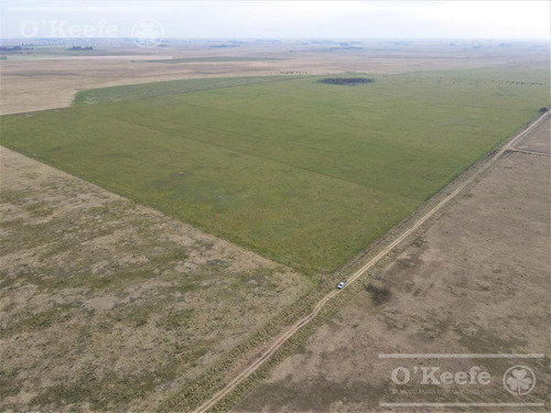Imagen 2 de 29 de Campo Mixto De 170 Has En San Vicente. Oportunidad!