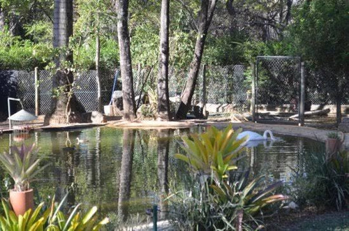 Imagem 2 de 2 de Terreno À Venda, 1 M² Por R$ 500.000,00 - Condominio Residencial Lago Dos Cisnes - Foz Do Iguaçu/pr - Te0389