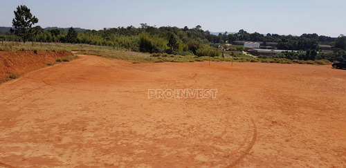 Imagem 1 de 15 de Terreno À Venda, 20000 M² Por R$ 1.600.000,00 - Água Espraiada (caucaia Do Alto) - Cotia/sp - Te9001