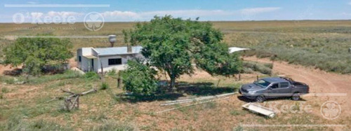 Campo En Venta De 27950 Has En Gral Alvear Mendoza. Armada Para Cria/recria