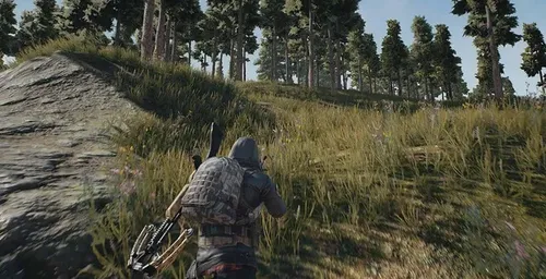 Playerunknown's Battlegrounds Pubg Ps4 (Usado)