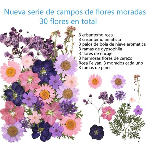 30 Piezas De Flores Secas Naturales En Campo De Flores Púrpu