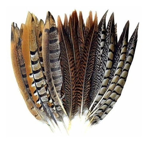 21 Pc 20 25cm Plumas De Faisan Naturales Para El Arte D...