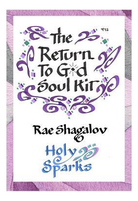 Libro The Return To God Soul Kit : How To Prepare For Ros...