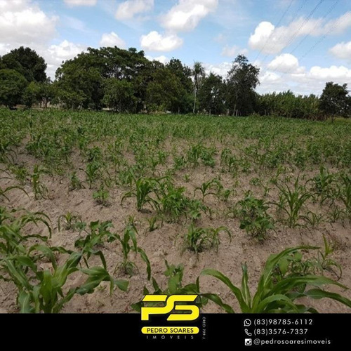 Imagem 3 de 15 de Sítio À Venda, 40000 M² Por R$ 490.000,00 - Centro - Campina Grande/pb - Si0012
