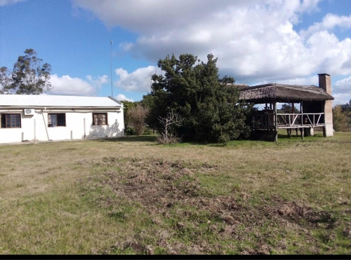 Imagen 6 de 14 de Se Vende Campo De 2.5 Hect Con Casa Y Piscina En Mercedes !!