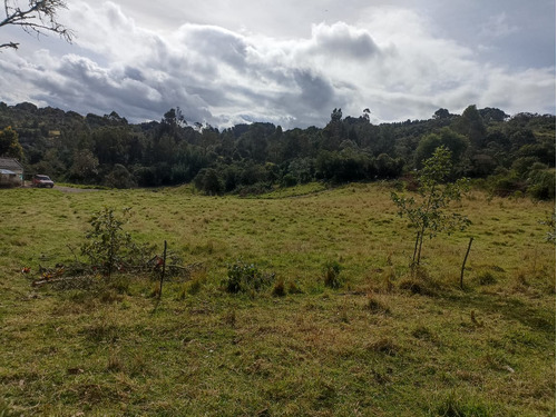 Vendo Finca Grande En Caldas Boyaca De 15 Fanegadas  