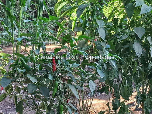 Chacra En Venta En Villa Manzano, Provincia De Rio Negro